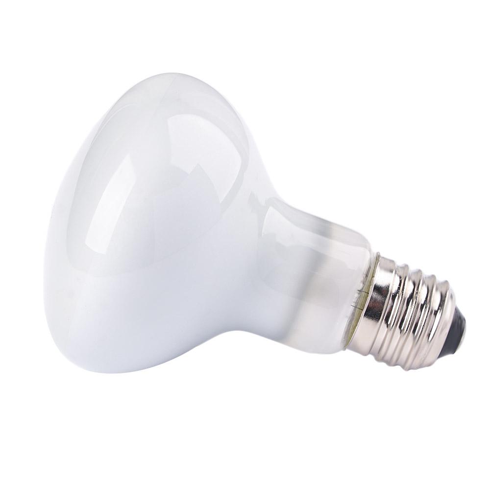 Basking Bulb Halogen - جهاز تحكم في درجة حرارة الزواحف