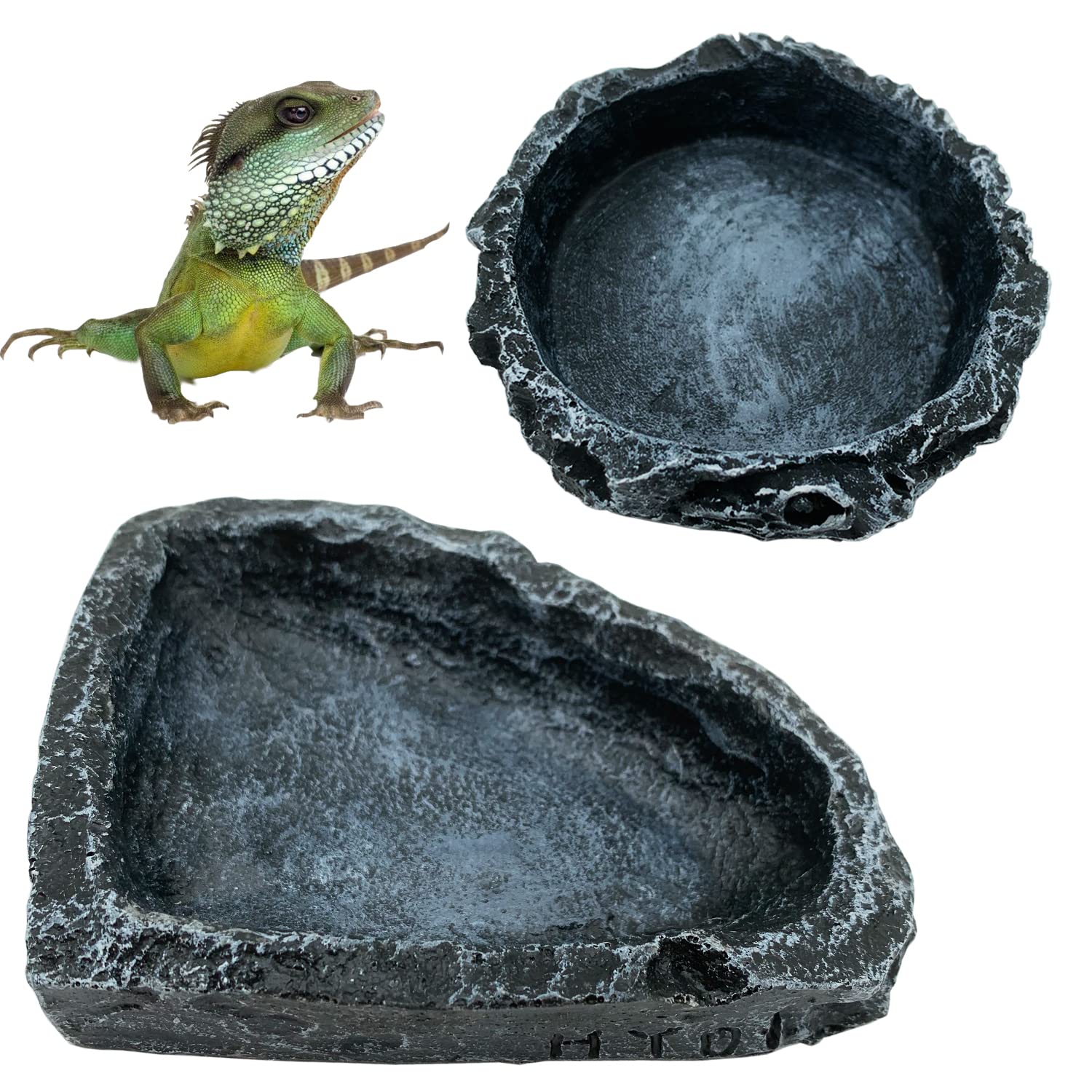 Water Dish Reptile - وعاء طعام وزاوية مياه للزواحف، طبق