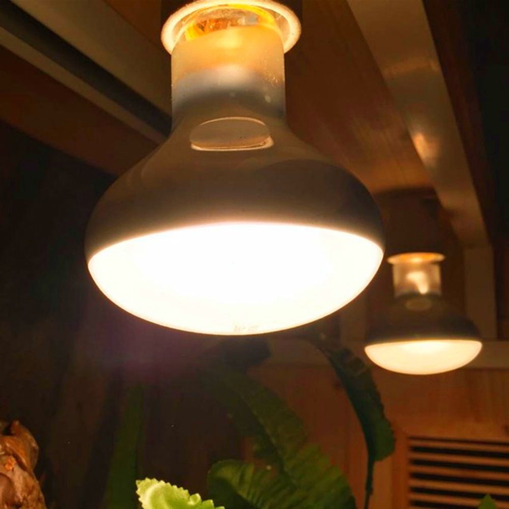 Basking Bulb Halogen - السلحفاة متحكم في درجة الحرارة مصباح