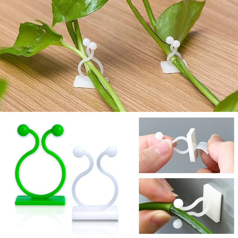 Vine Climbing Plastic - نبات تسلق الجدار ذاتية اللصق مشبك