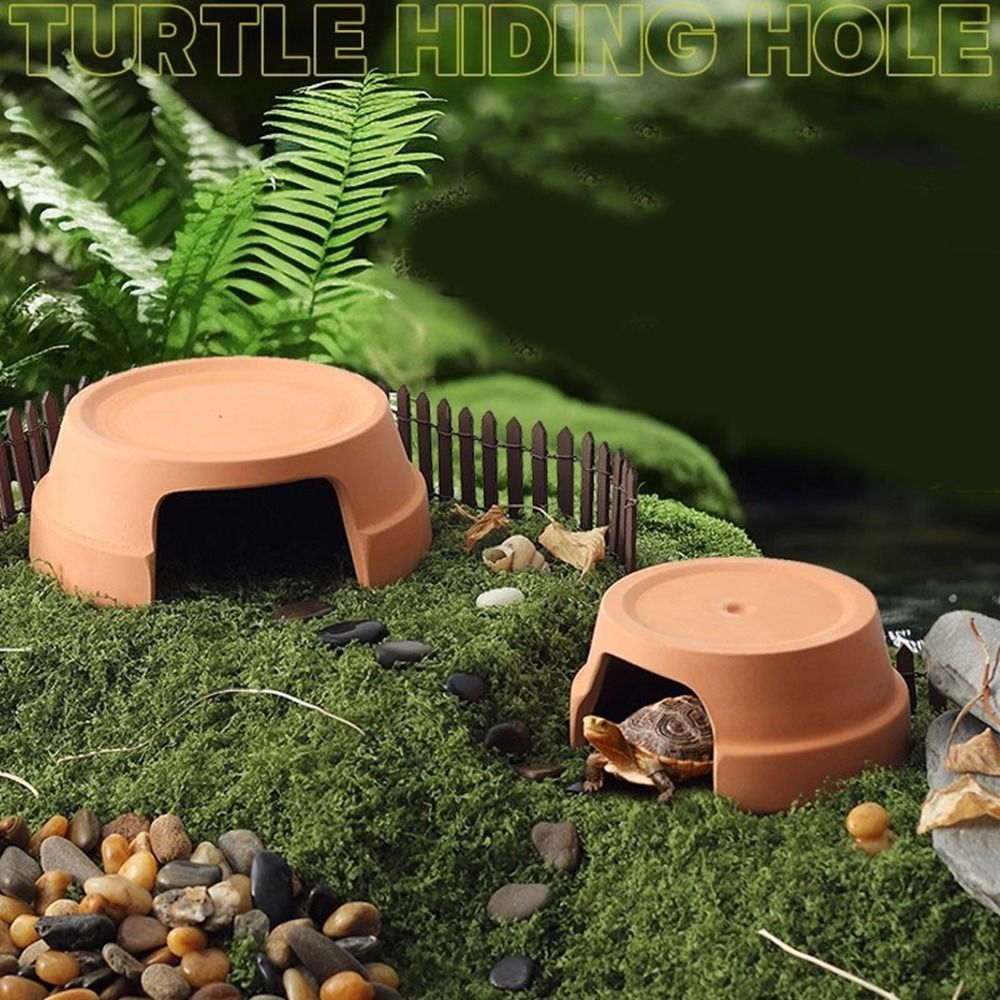 صندوق إخفاء متعدد الوظائف للزو - مراجعة Hide Cave Ceramic وسعره