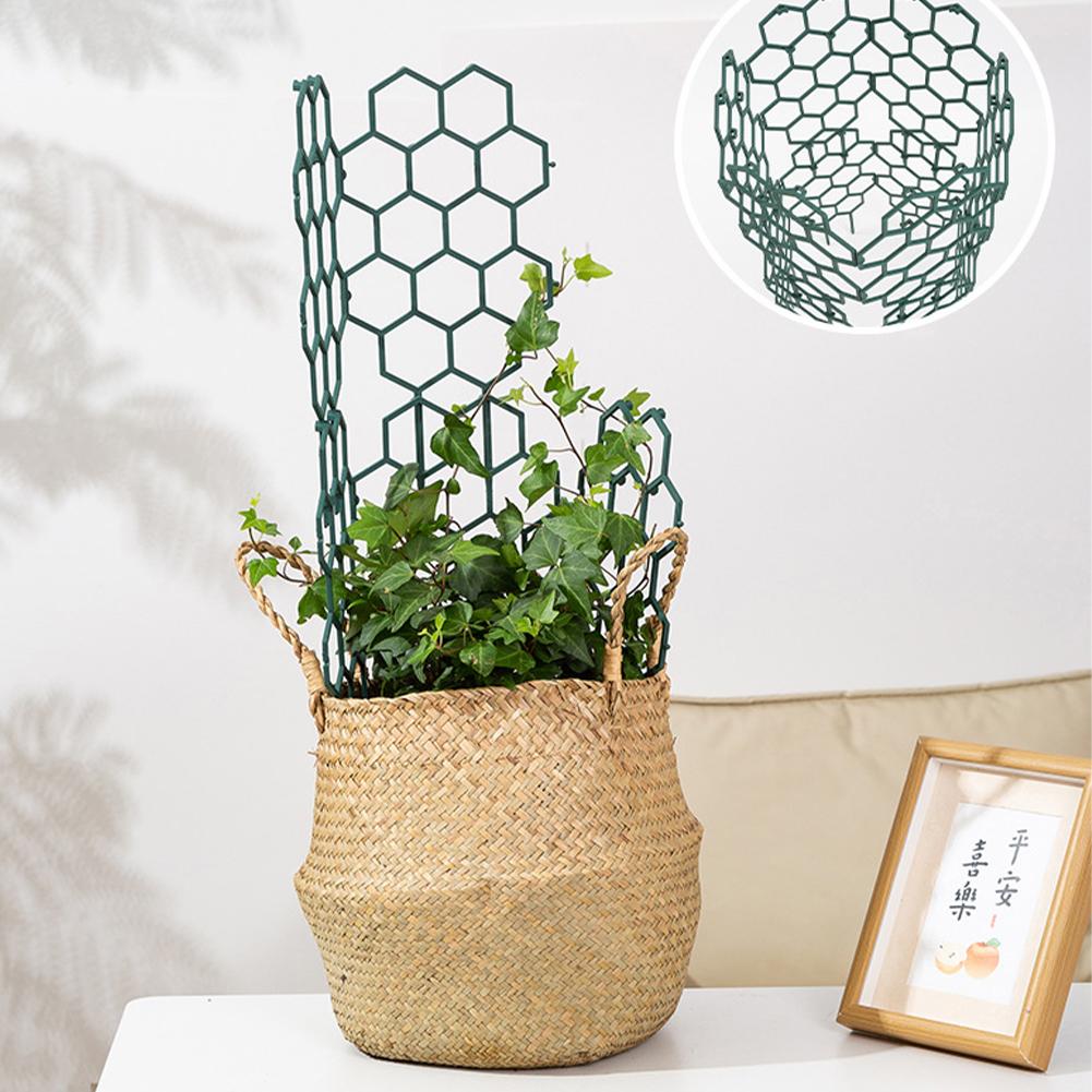 1/2/5 قطع إطار دعم نباتات بلاس - مراجعة Vine Climbing Plastic وسعره