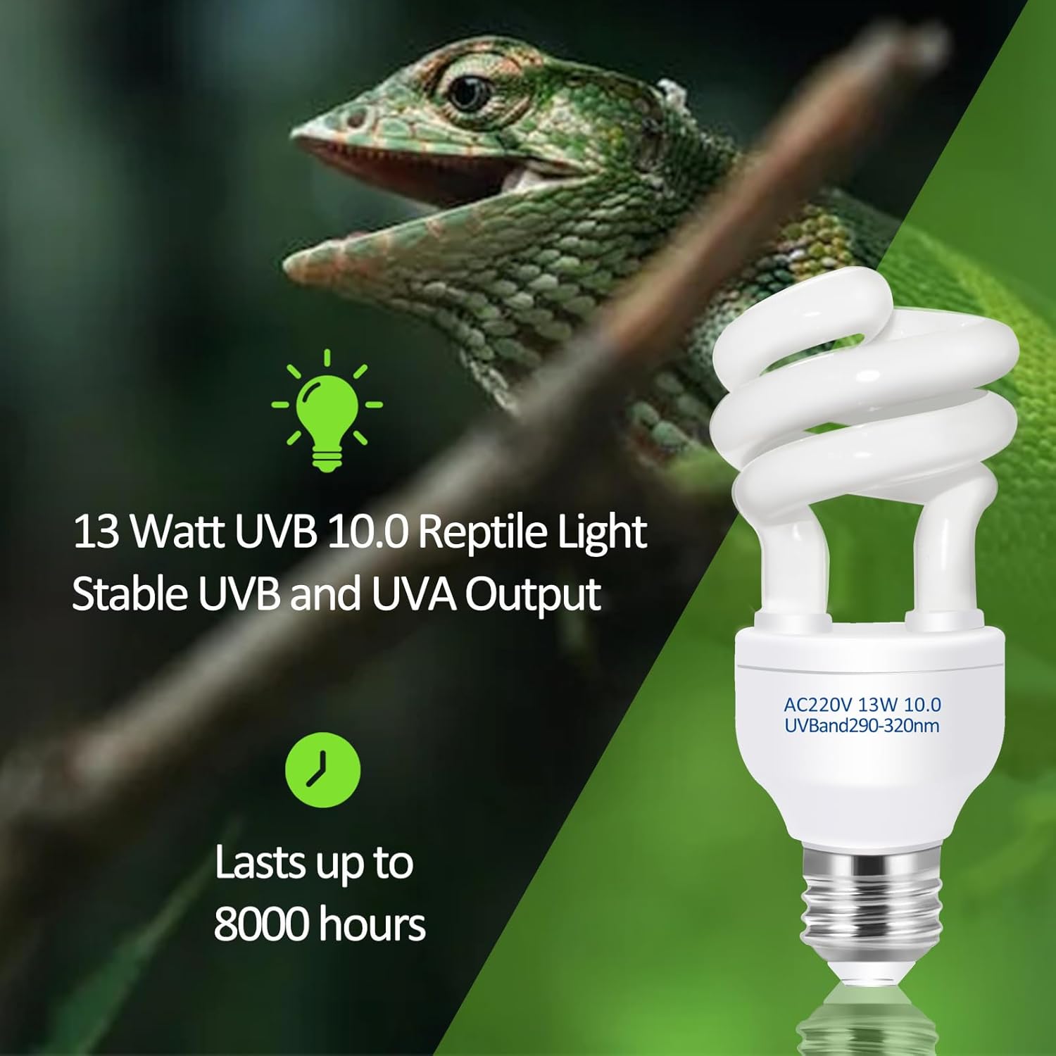 UVB 5.0 10.0 مصباح تدفئة الزوا - مراجعة Calcium Powder Reptile وسعره