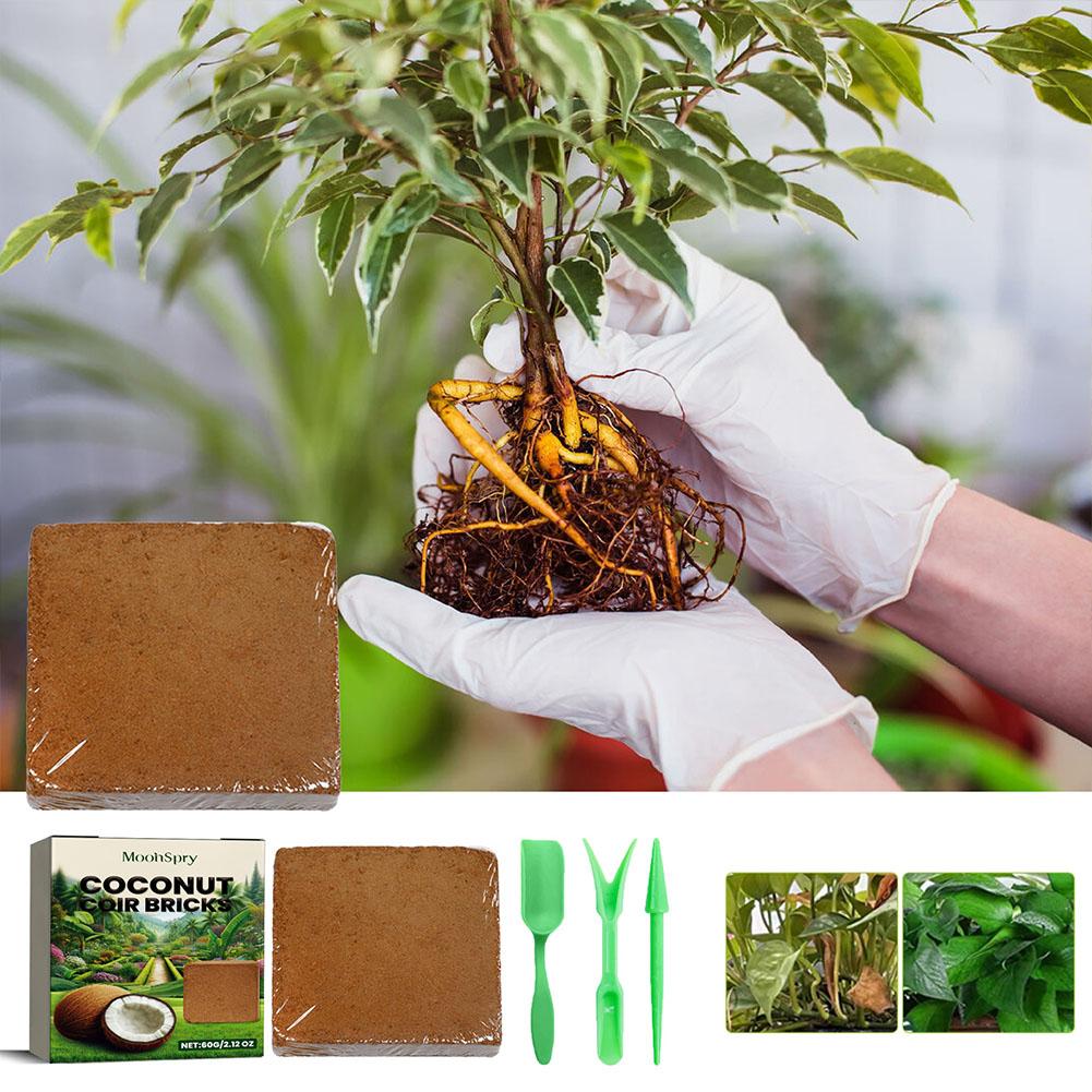 الزواحف جوز الهند التربة جوز ا - مراجعة Substrate Coconut Fiber وسعره