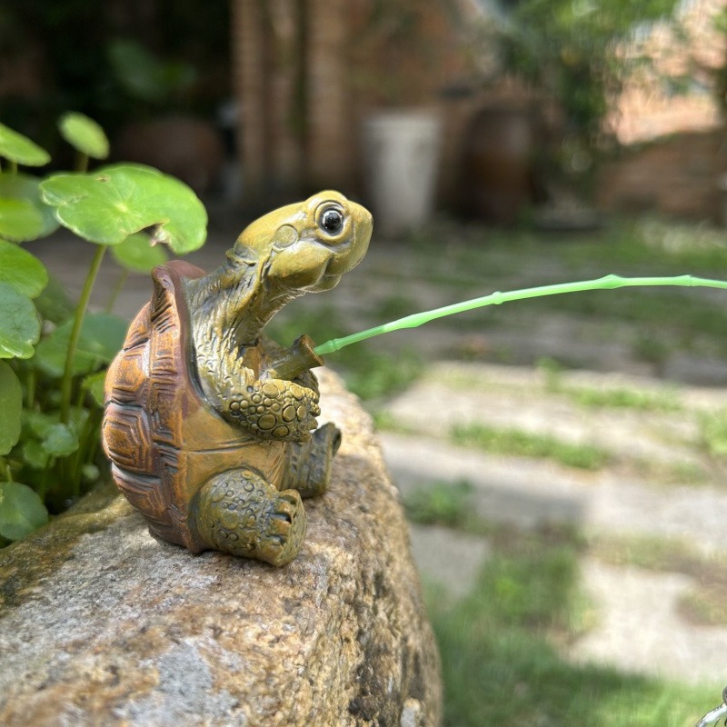 السلاحف الصيد خزان الأسماك حوض - مراجعة Water Dish Reptile وسعره