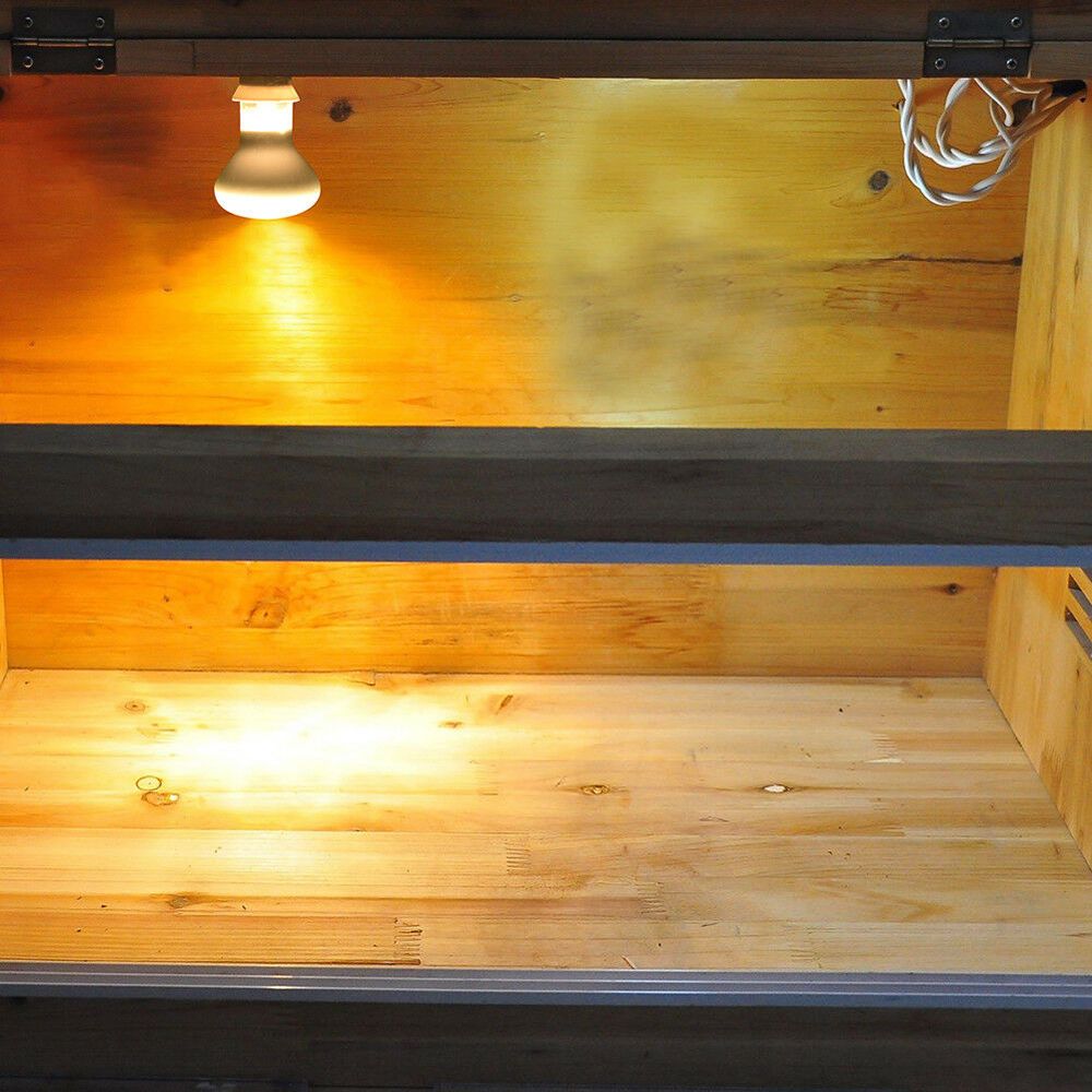 جهاز تحكم في درجة حرارة الزواح - مراجعة Basking Bulb Halogen وسعره