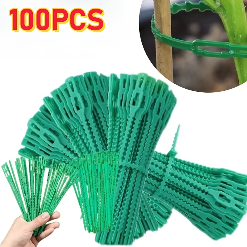 100 قطعة من روابط النباتات الق - مراجعة Vine Climbing Plastic وسعره