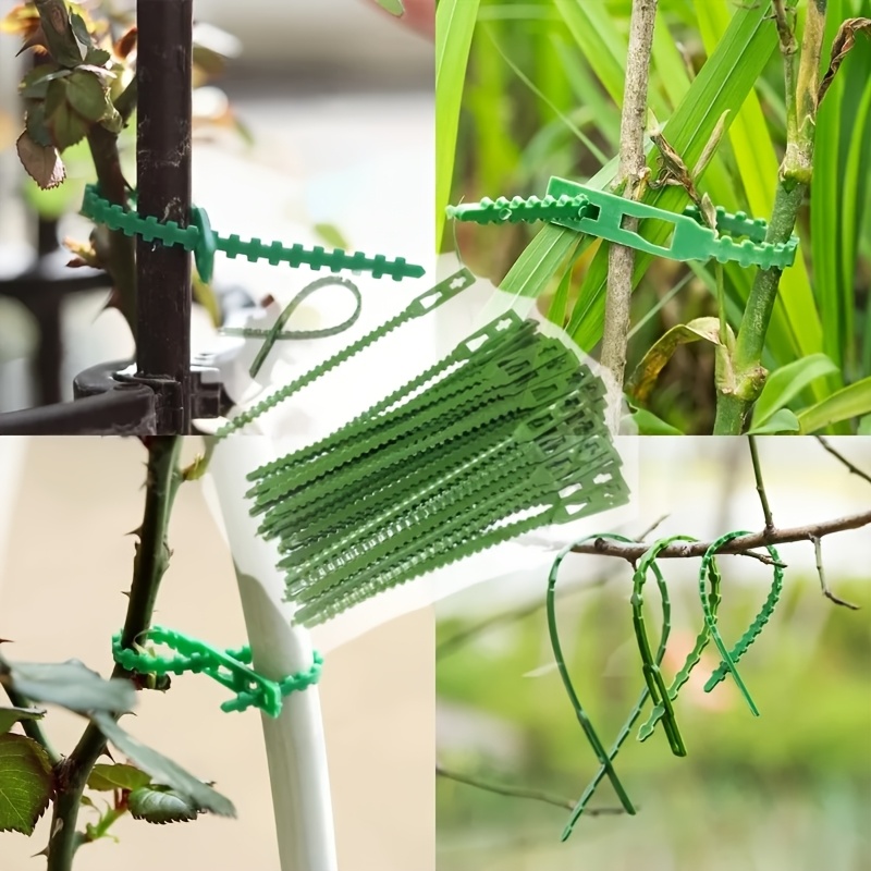 100 قطعة من روابط النباتات الق - مراجعة Vine Climbing Plastic وسعره