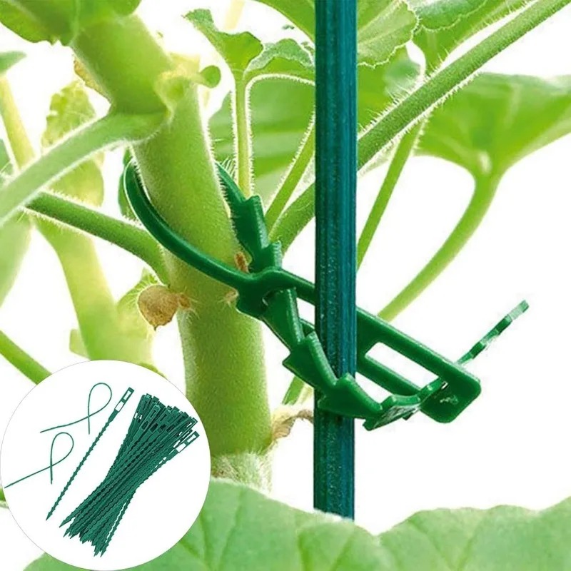 ربطات نباتية قابلة لإعادة الاس - مراجعة Vine Climbing Plastic وسعره