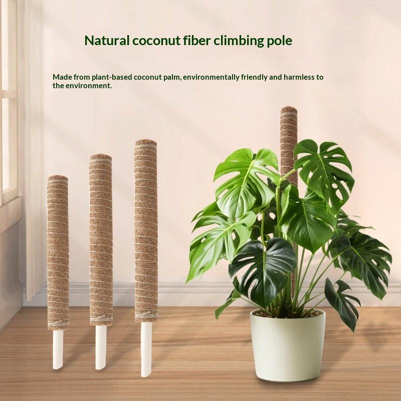 قضيب دعم نمو النباتات (قطعة وا - مراجعة Vine Climbing Plastic وسعره