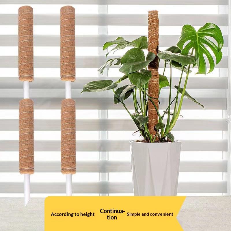 قضيب دعم نمو النباتات (قطعة وا - مراجعة Vine Climbing Plastic وسعره