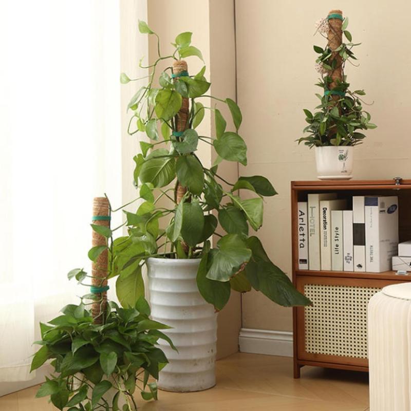 قضيب دعم نمو النباتات (قطعة وا - مراجعة Vine Climbing Plastic وسعره