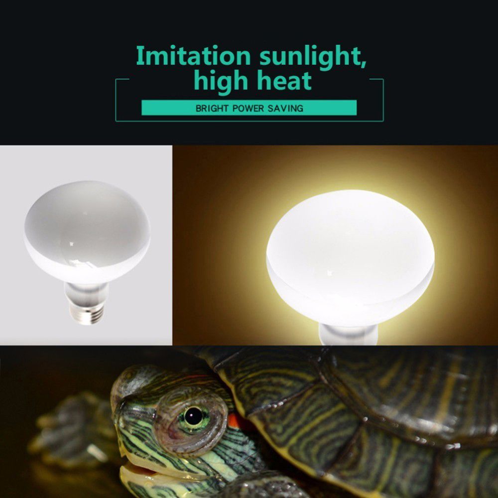 جهاز تحكم في درجة حرارة الحيوا - مراجعة Basking Bulb Halogen وسعره