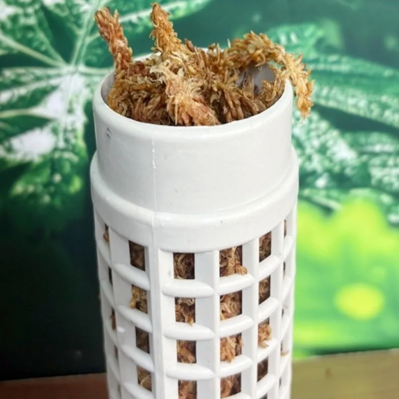 2026-9 قطع عمود طحلب بلاستيكي  - مراجعة Vine Climbing Plastic وسعره