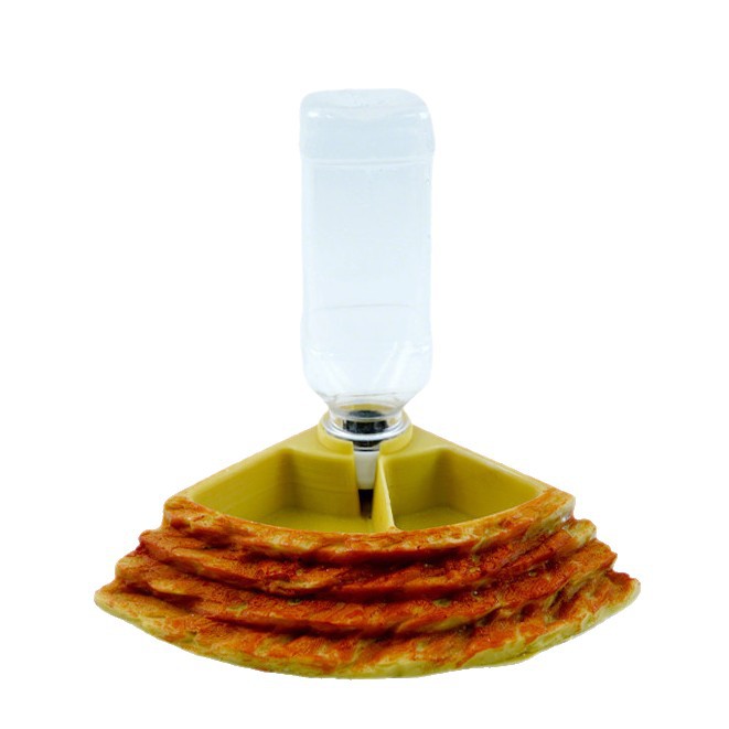 وعاء ماء وطعام 2 في 1 للزواحف، - مراجعة Water Dish Reptile وسعره