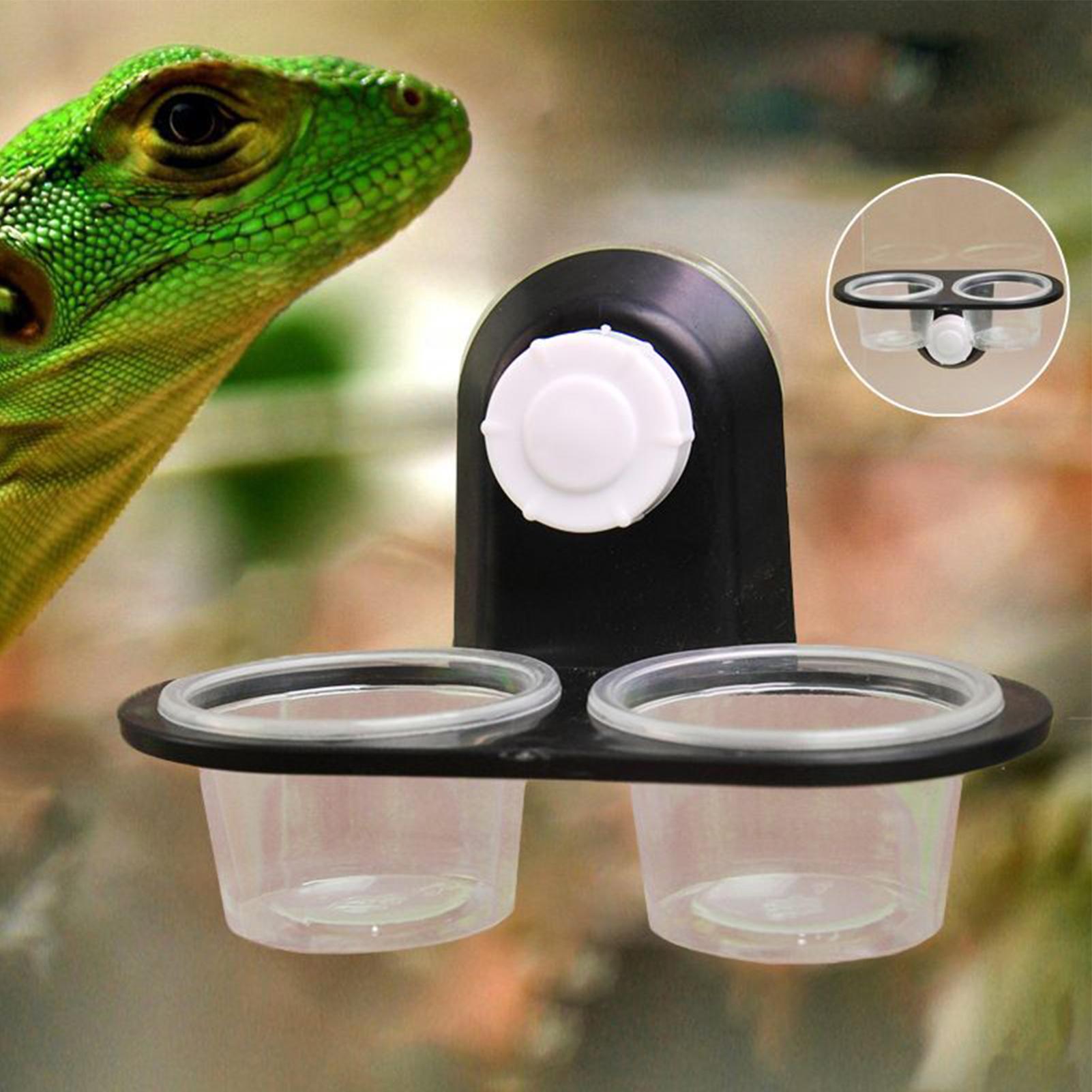 وعاء طعام للجيكو مع أكواب تغذي - مراجعة Water Dish Reptile وسعره