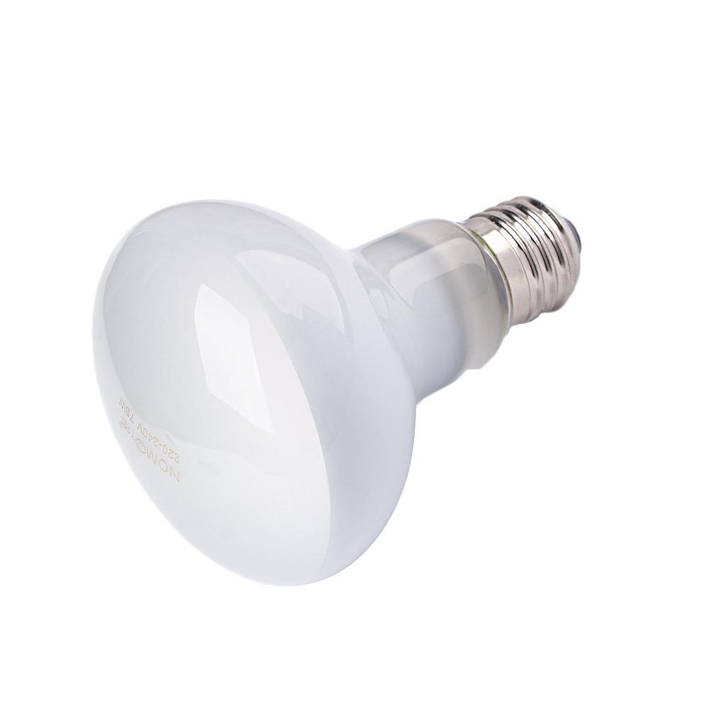 جهاز تحكم في درجة حرارة السلاح - مراجعة Basking Bulb Halogen وسعره