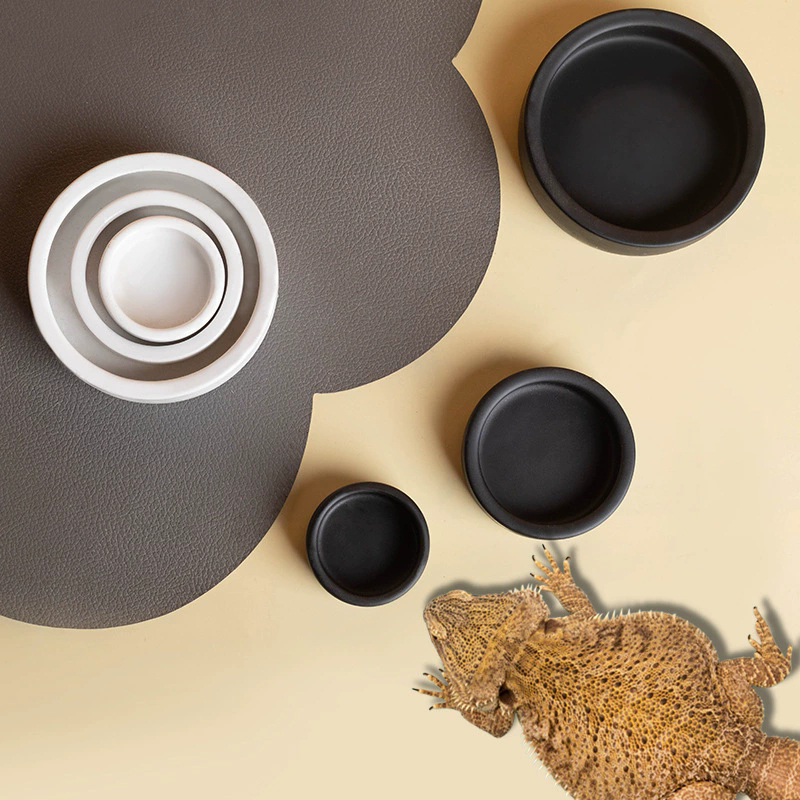 رائج! وعاء طعام للزواحف مضاد ل - مراجعة Water Dish Reptile وسعره