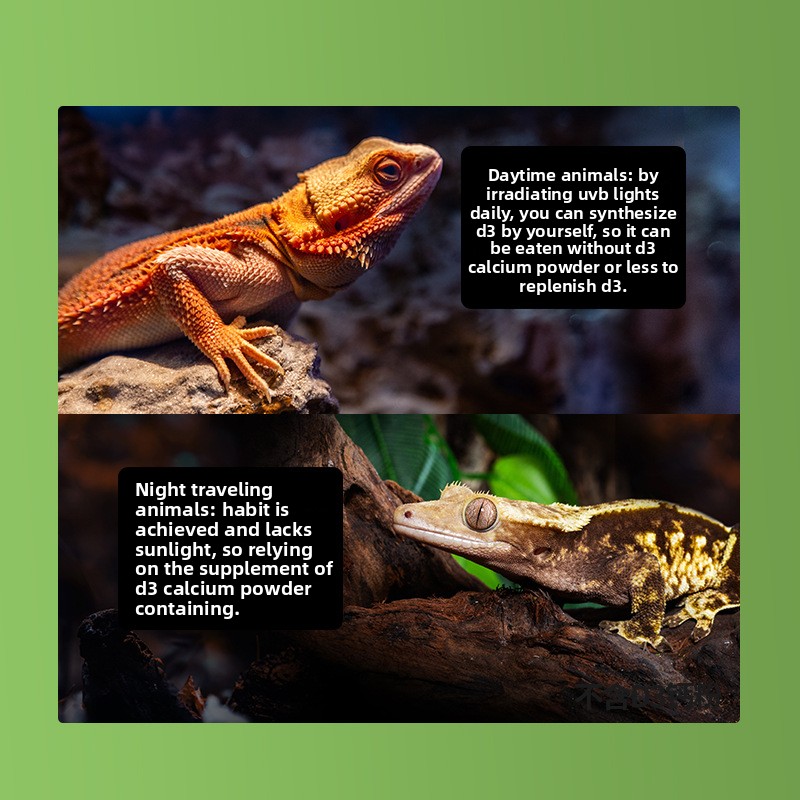 Reptizoo مسحوق الكالسيوم الزوا - مراجعة Vitamin D3 Reptile وسعره