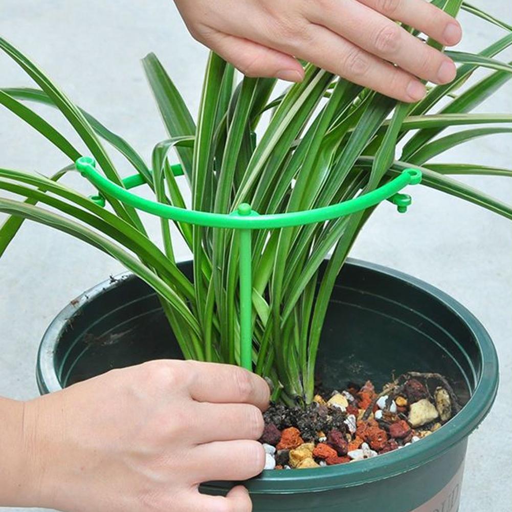 حلقة دعم نباتات متسلقة قابلة ل - مراجعة Vine Climbing Plastic وسعره