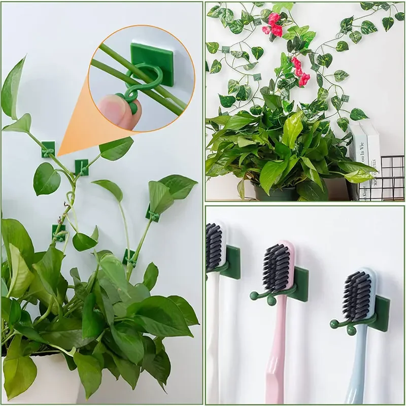 1/30/50 قطعة لملحقات الحدائق أ - مراجعة Vine Climbing Plastic وسعره