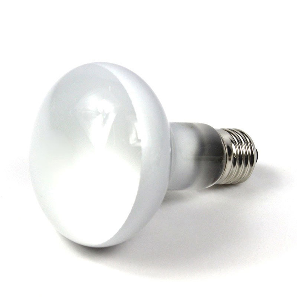 جهاز تحكم في درجة حرارة السخان - مراجعة Basking Bulb Halogen وسعره