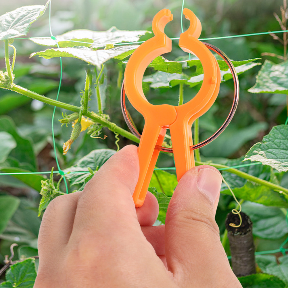 10 قطع مشابك تثبيت النباتات، م - مراجعة Vine Climbing Plastic وسعره