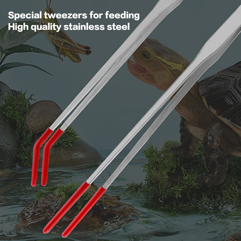 ملقط تغذية الزواحف بطرف مطاطي، - مراجعة Feeding Tong Stainless وسعره