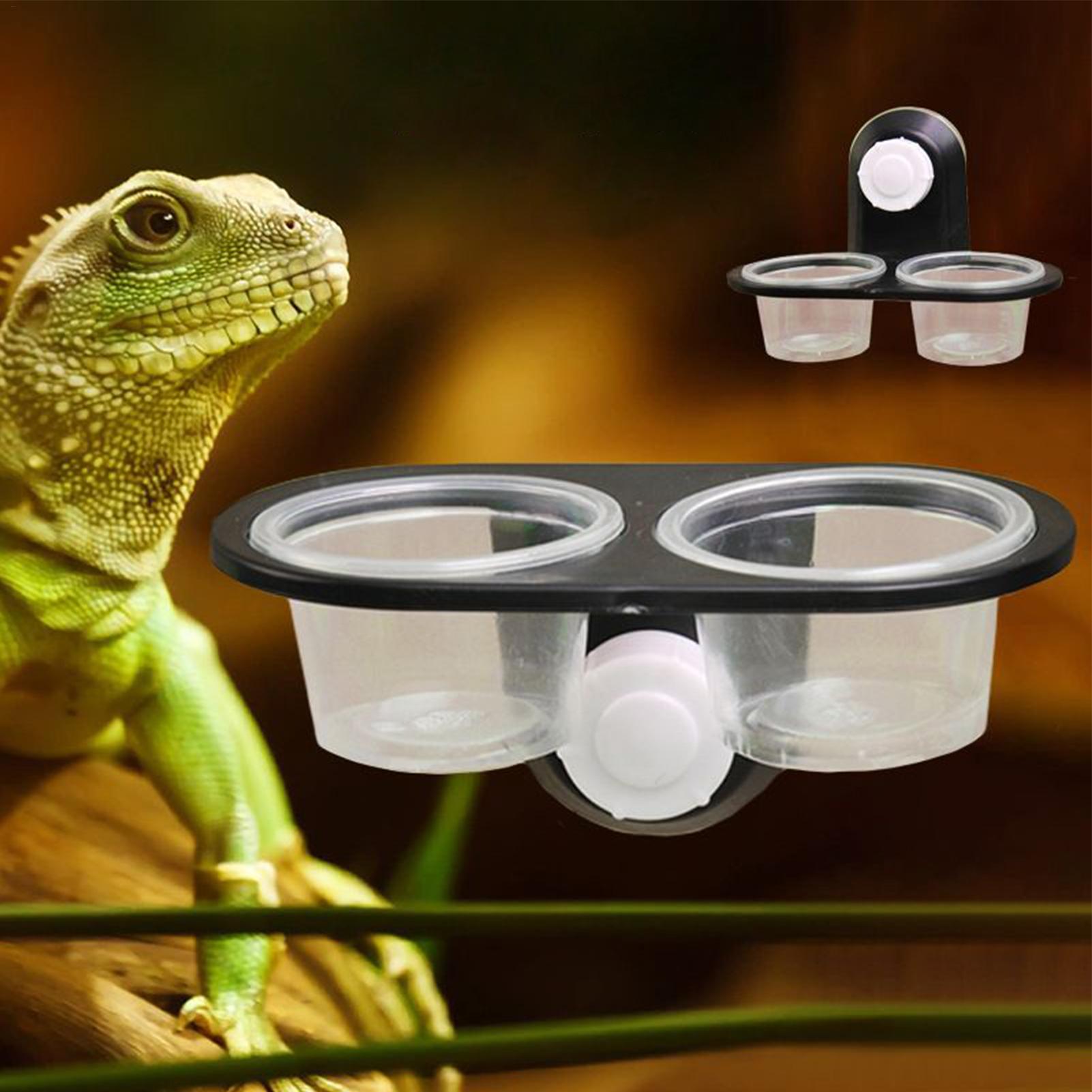 طبق طعام وشراب للزواحف مع 4 أك - مراجعة Water Dish Reptile وسعره