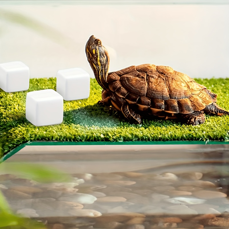 6 قطعة خزان الأسماك كتلة الكال - مراجعة Calcium Powder Reptile وسعره